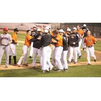 Long Island Ducks Celebrate Walk Off Win
