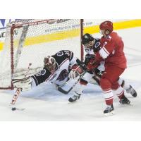 Allen Americans vs. Rapid City Rush