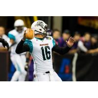 Arizona Rattlers Quarterback BJ Coleman