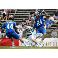 Charlotte Hounds vs. Chesapeake BayHawks