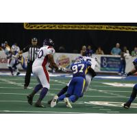 Tampa Bay Storm Defensive End Frank Mays