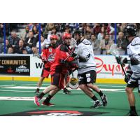 Edmonton Rush vs. Calgary Roughnecks