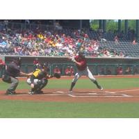 Josh Allen Bats for the Evansville Otters
