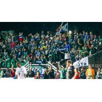 St. Louis FC Supporters