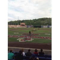 Washinton Wild Things Home Opener