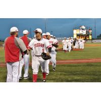 Florence Freedom Sweep Slammers