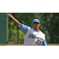 Former Myrtle Beach Pelican Wilfredo Boscan