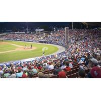 FirstEnergy Stadium, Home of the Reading Fightin Phils