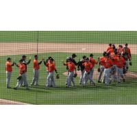 Long Island Ducks Give High Fives after Win
