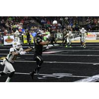 Lehigh Valley Steelhawks vs. Alabama Hammers