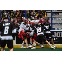 Edmonton Rush vs. Calgary Roughnecks