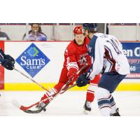 Allen Americans Forward Gary Steffes