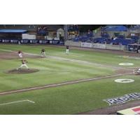 Consol Energy Park, Home of the Washington Wild Things