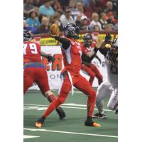 Portland Thunder Quarterback Darron Thomas