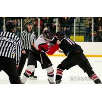 Forward Drew Doyon with the Aberdeen Wings
