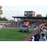 Fun at a Kenosha Kingfish Game
