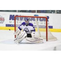 Tri-City Storm Goaltender Alec Dillon