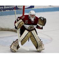 Muskegon Lumberjacks Goaltender Eric Schierhorn