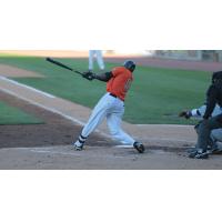 Delta Cleary, Jr. of the Long Island Ducks