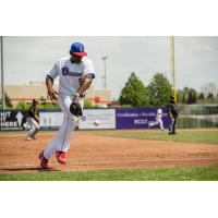 Ottawa Champions in Action