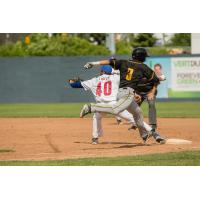 Ottawa Champions in Action