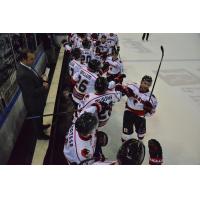 Corpus Christi IceRays Assistant Coach Brad Flynn