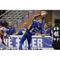 Tampa Bay Storm Wide Receiver and Kick Returner Kendrick Ings