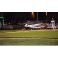 Mike Mike Ellenbest of the Green Bay Bullfrogs Makes a Diving Attempt
