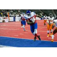 Trenton Freedom in Action