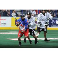 Edmonton Rush vs. Toronto Rock