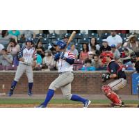 Lexington Legends in Action