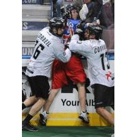 Edmonton Rush vs. Toronto Rock