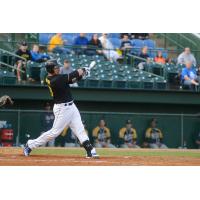 Sioux Falls Canaries First Baseman David Bergin