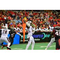 Orlando Predators QB Bernard Morris