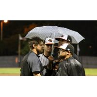 Green Bay Bullfrogs Trying to Stay Dry