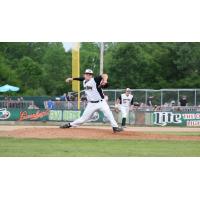 Green Bay Bullfrogs in Action