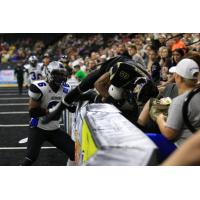 Lehigh Valley Steelhawks vs. Richmond Raiders