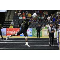 Lehigh Valley Steelhawks vs. Richmond Raiders