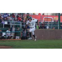 Madison Mallards in Action