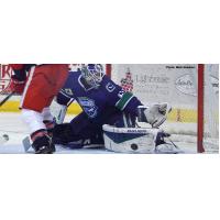 Utica Comets Goaltender Jacob Markstrom