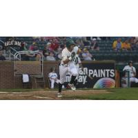 Madison Mallards on the Run