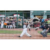 Alex Martinez of the Green Bay Bullfrogs