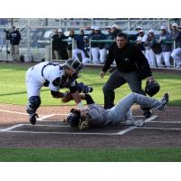 Duluth Huskies vs. Thunder Bay Border Cats Play at the Plate