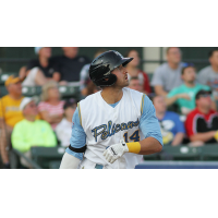 Former Myrtle Beach Pelican Joey Gallo