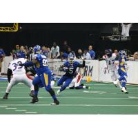 Tampa Bay Storm DB James Harrell vs. the New Orleans VooDoo