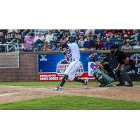 Madison Mallards at the Plate