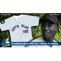 Myrtle Beach Pelicans 