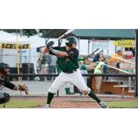 Green Bay Bullfrogs at the Plate