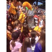 Syracuse Silver Knight at a Syracuse Chiefs Game