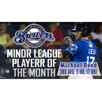Michael Reed of the Biloxi Shuckers